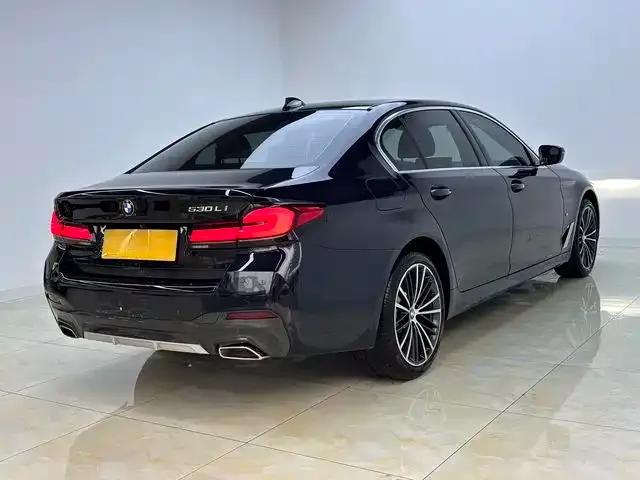 2021 BMW 5 Series 530Li Leading Edition M Sport Package — миниатюра 18