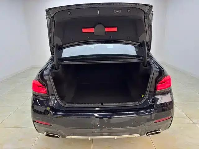 2021 BMW 5 Series 530Li Leading Edition M Sport Package — миниатюра 9