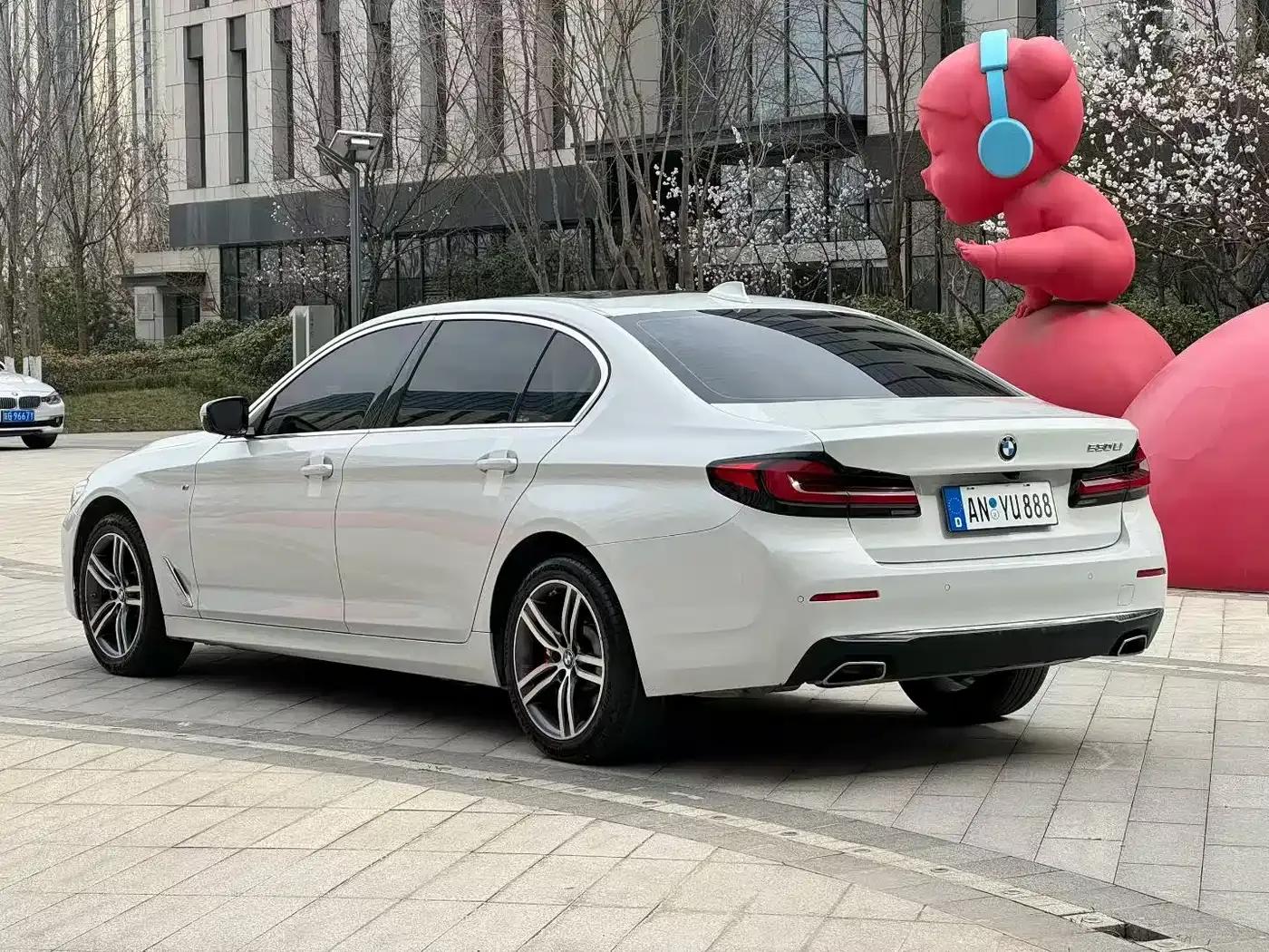BMW 5 Series 2021 530Li Leading Luxury Package — миниатюра 4