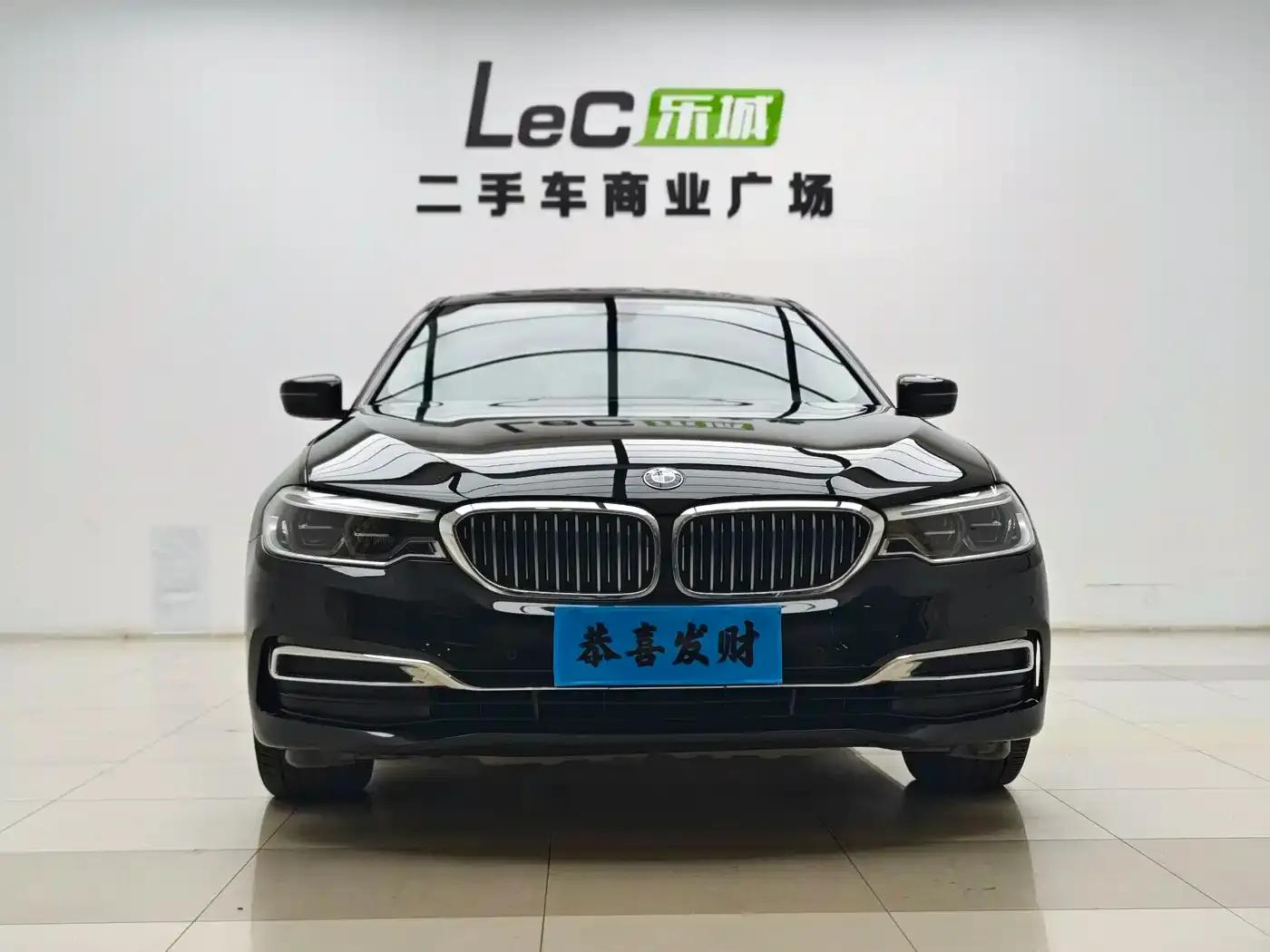 BMW 5 Series 2020 530Li Leading Luxury Package — миниатюра 2