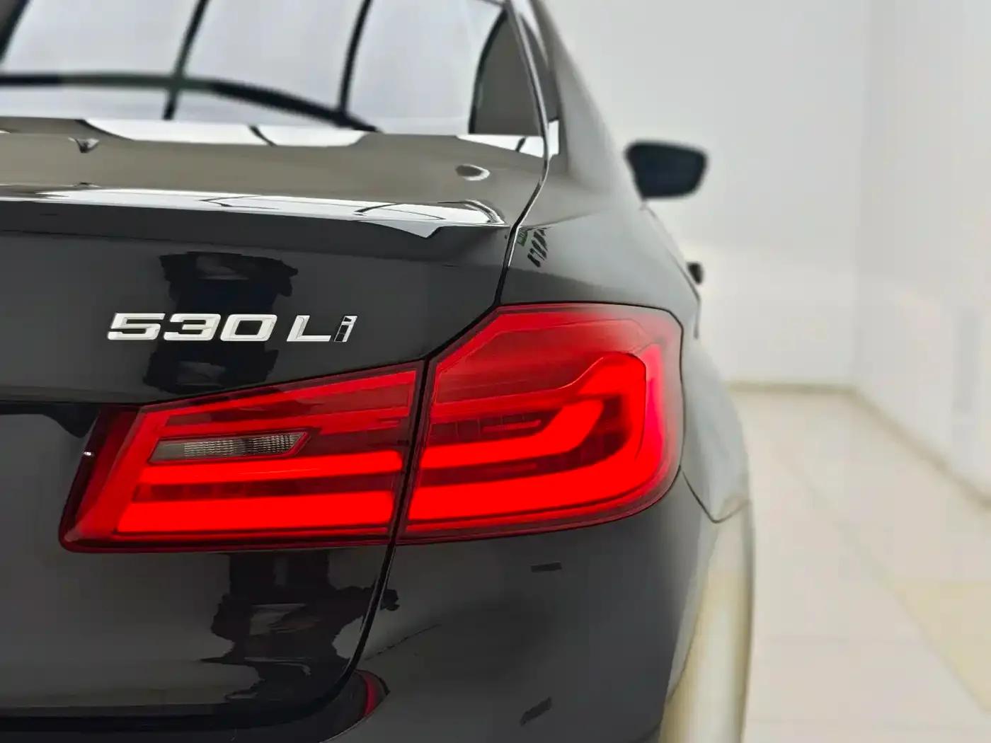 BMW 5 Series 2020 530Li Leading Luxury Package — миниатюра 11