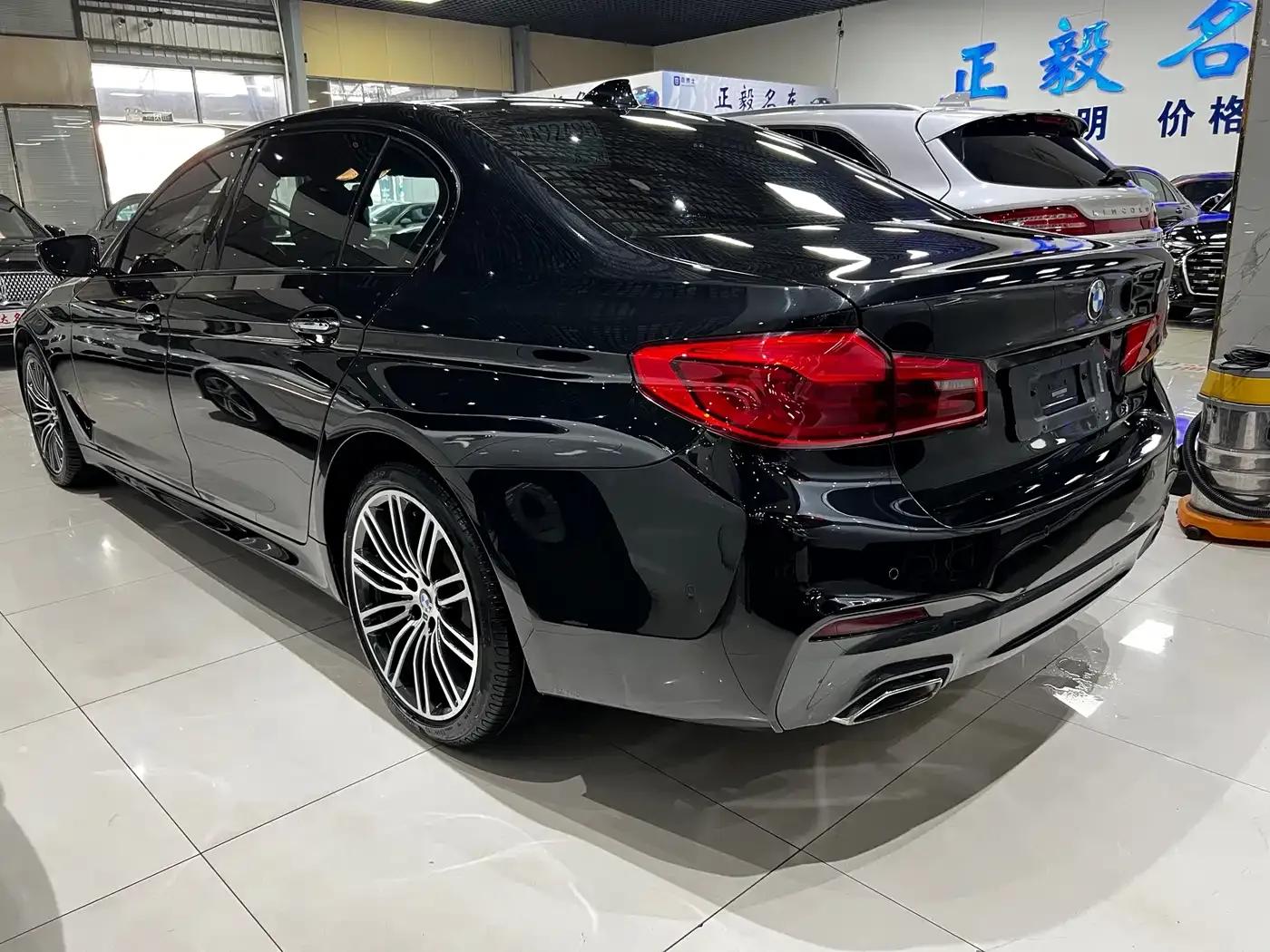 2018 BMW 5 Series 530Li Leading Edition M Sport Package — миниатюра 10