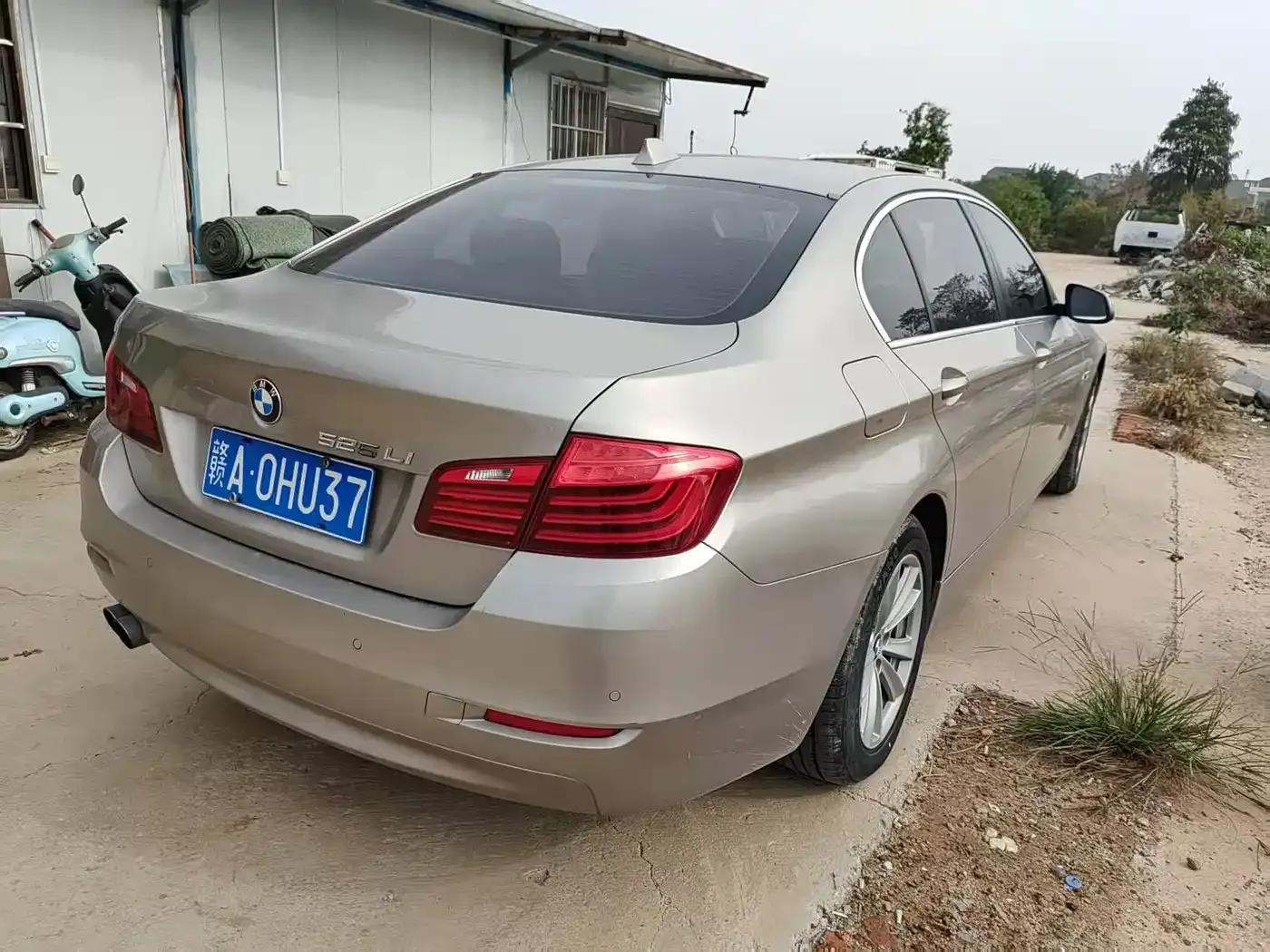 2017 BMW 5 Series 525Li Luxury Design Package — миниатюра 8