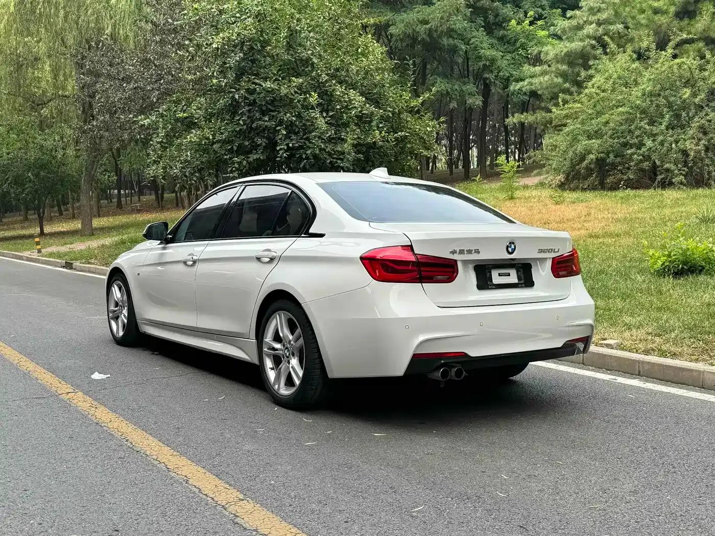2017 BMW 3 Series 320Li M Sport — миниатюра 3