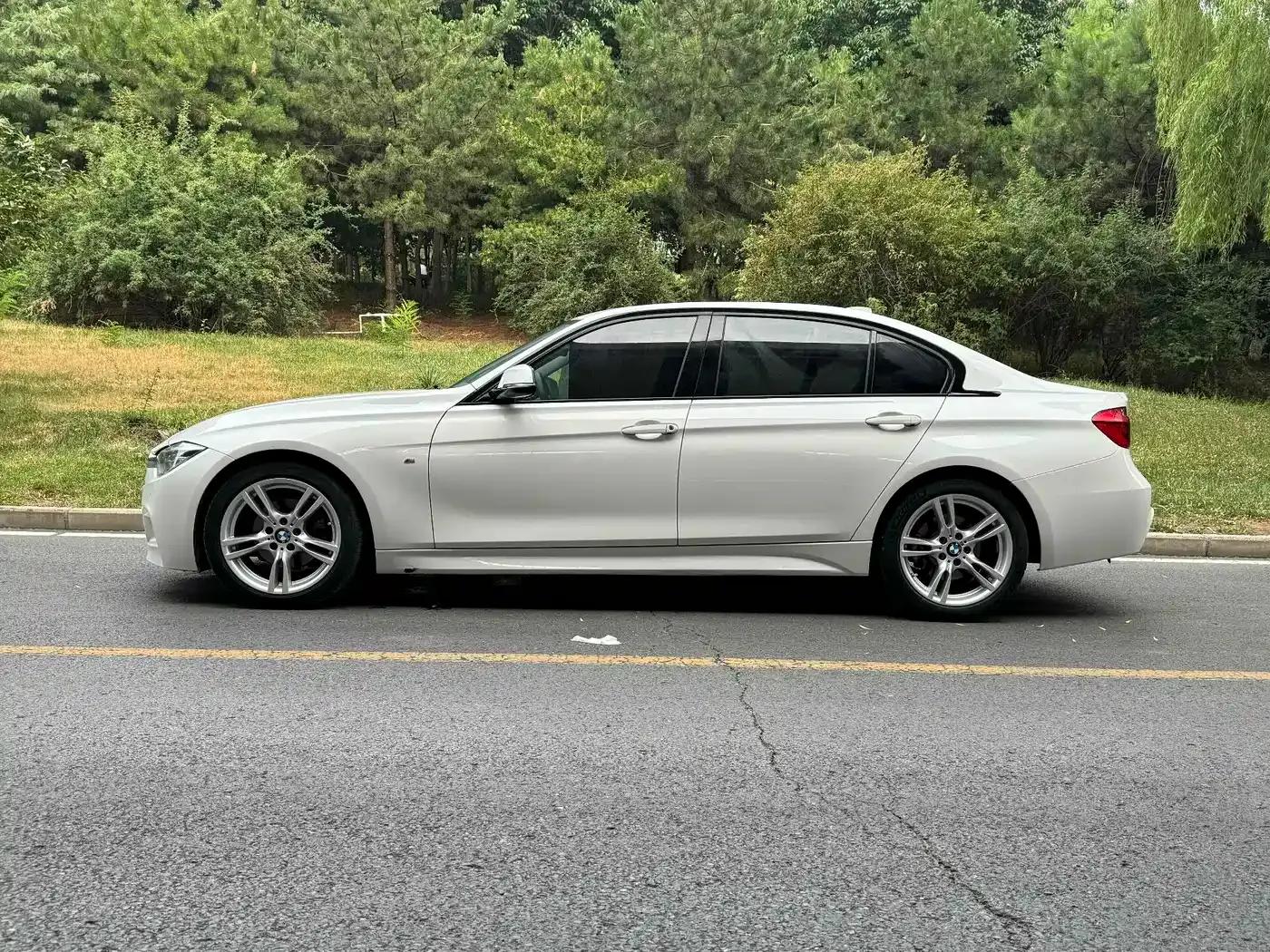 2017 BMW 3 Series 320Li M Sport — миниатюра 8