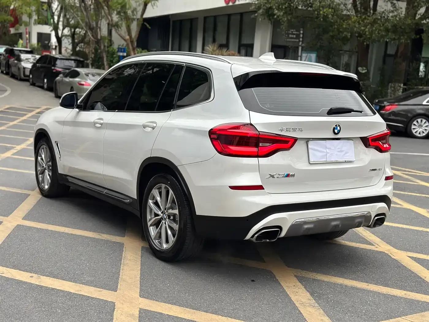 BMW X3 2021 xDrive25i Luxury Package — миниатюра 4