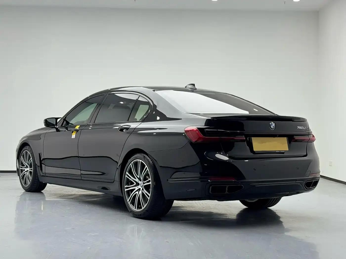 2019 BMW 7 Series 750Li xDrive V8 Luxury Package — миниатюра 5