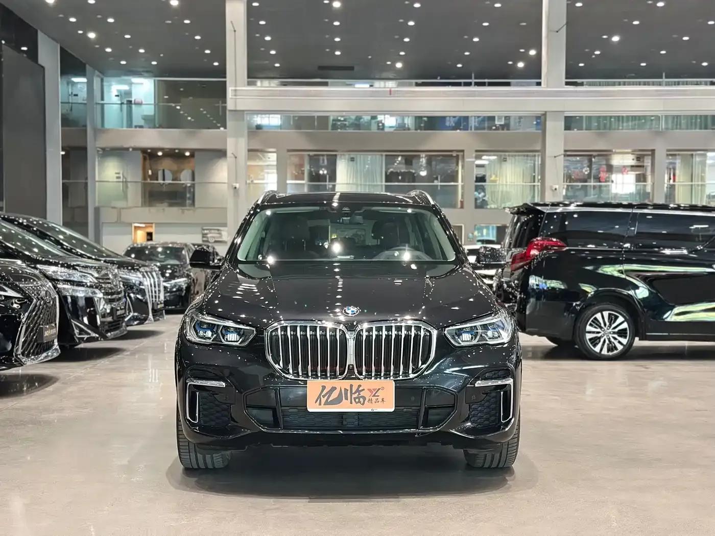 BMW X5 2022 xDrive 30Li Luxury M Sport Package — миниатюра 3