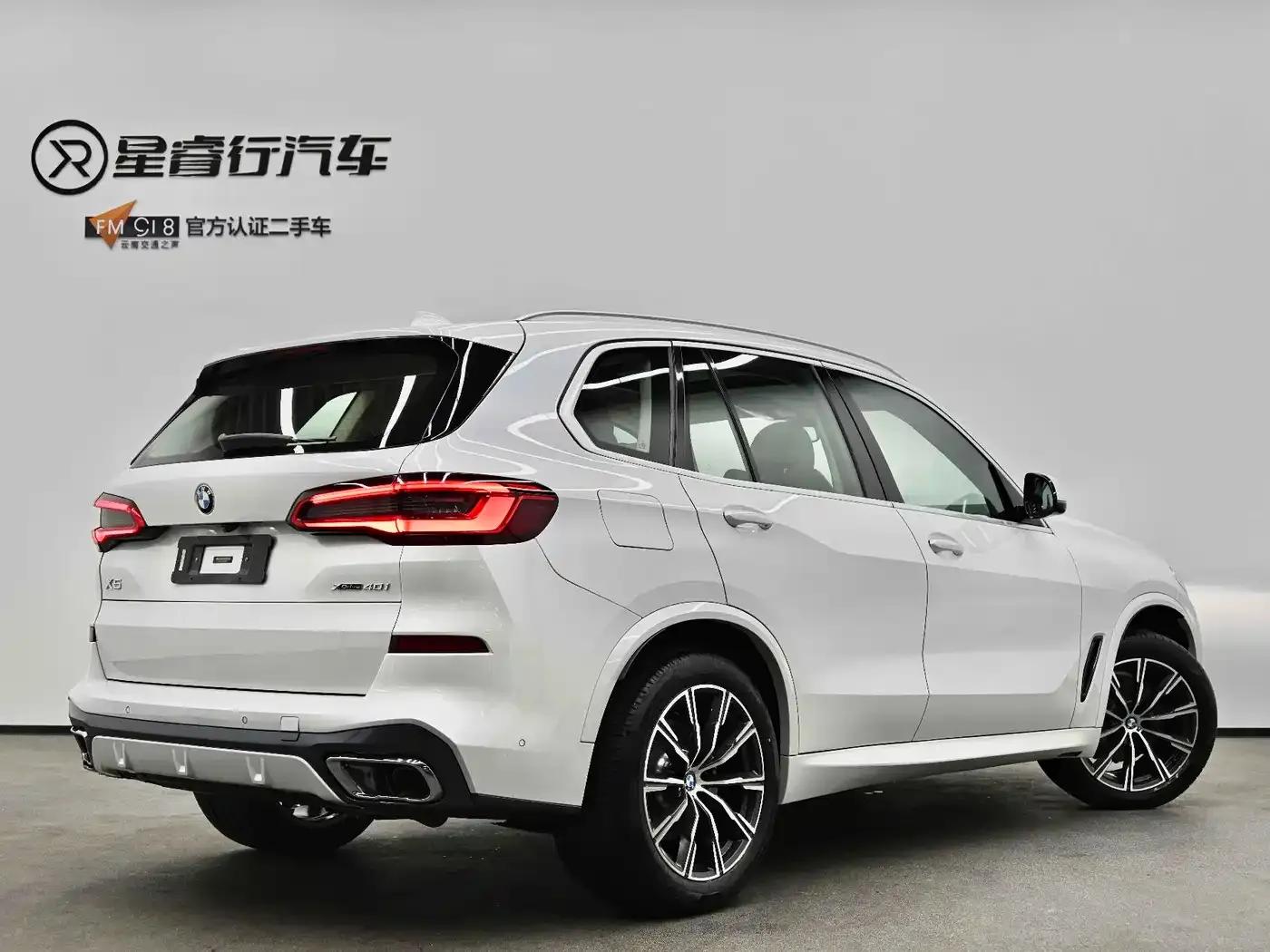 2019 BMW X5 xDrive40i M Sport Package (Imported) — миниатюра 3