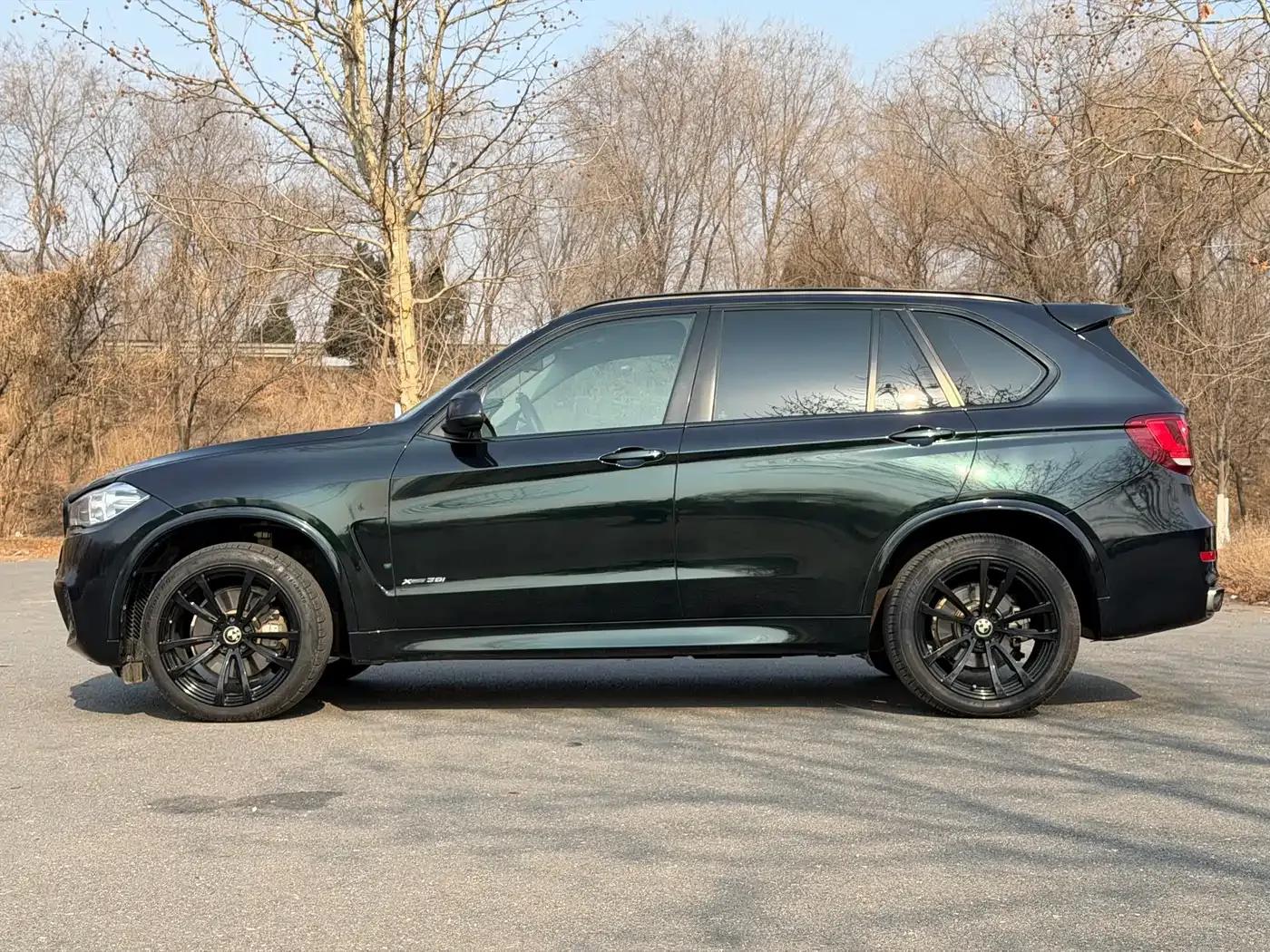 2017 BMW X5 xDrive35i M Sport (Imported) — миниатюра 3