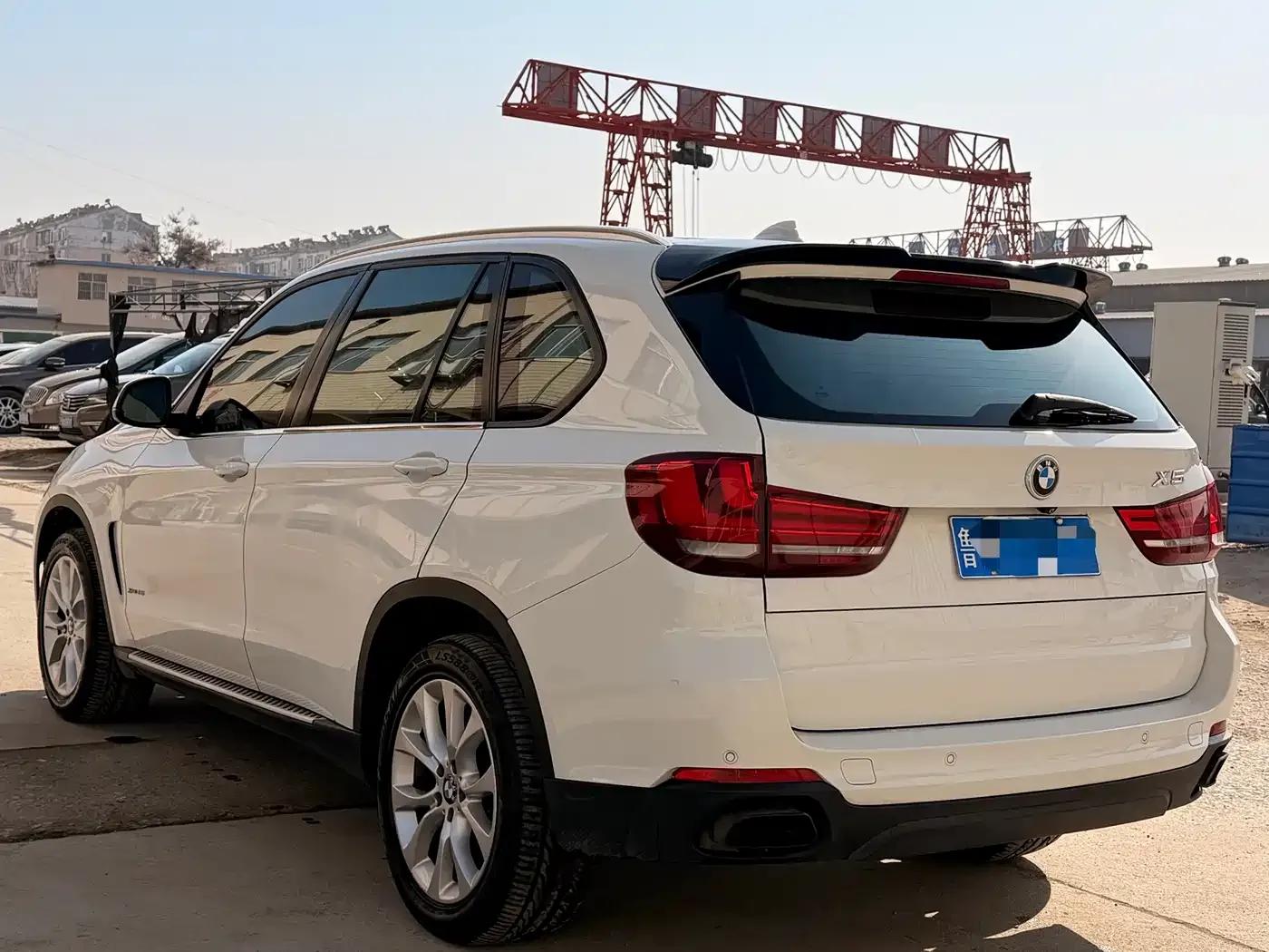 2014 BMW X5 xDrive35i Leading Edition (Imported) — миниатюра 4