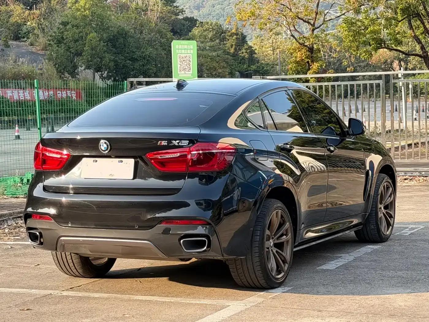 2019 BMW X6 xDrive35i M Sport Package — миниатюра 3