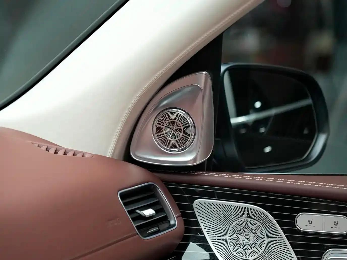 2024 Maybach GLS 480 4MATIC — миниатюра 18