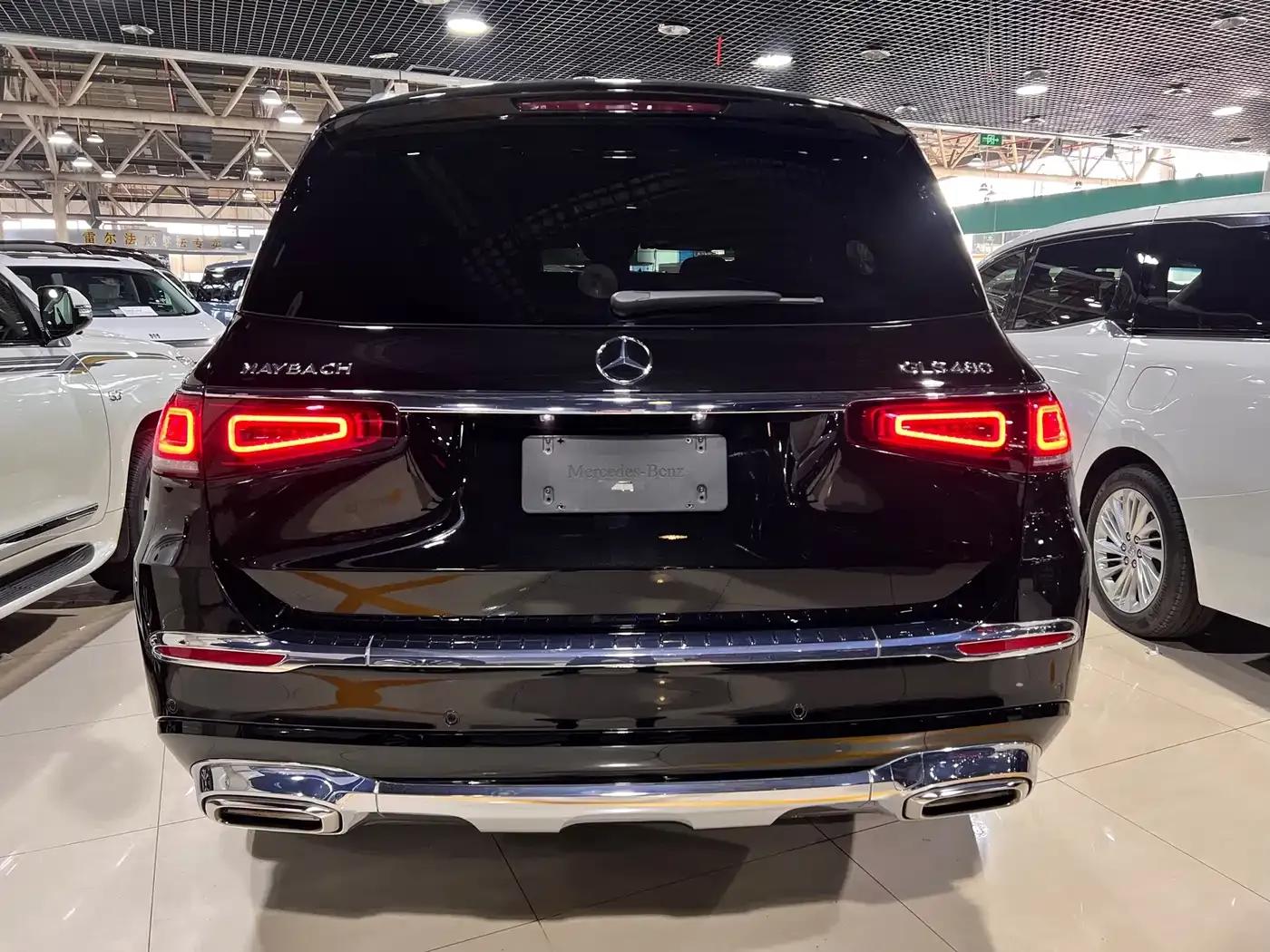 2021 Maybach GLS 480 4MATIC — миниатюра 18