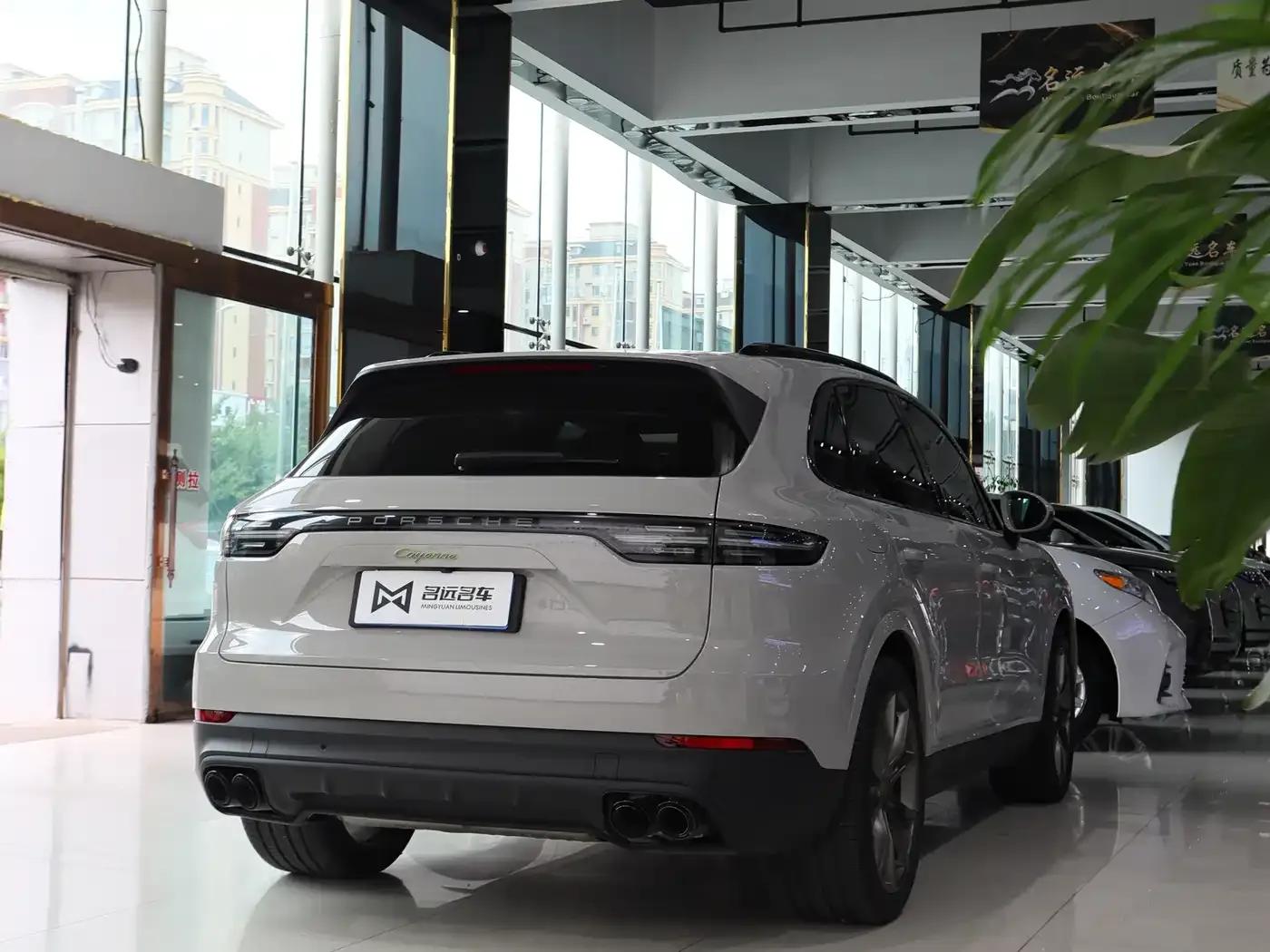 2022 Cayenne E-Hybrid 2.0T Platinum Edition — миниатюра 15