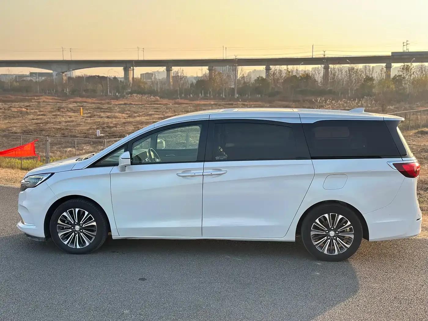 Buick GL8 2021 ES Avantgarde 653T Luxury — миниатюра 3