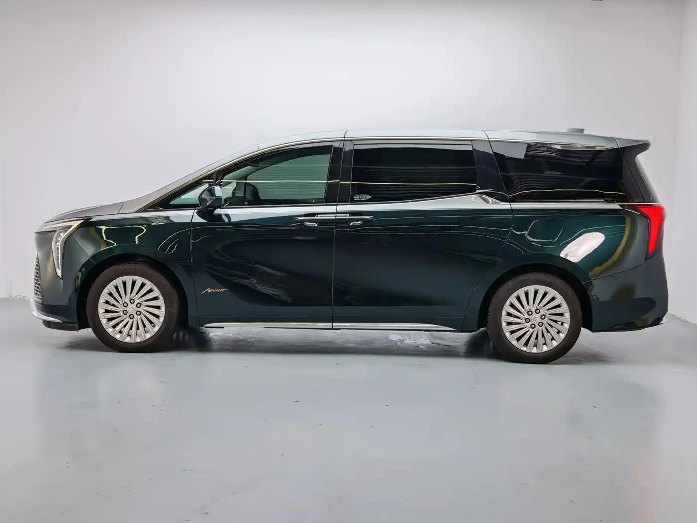 Century 2023 2.0T Four-Seat Private Edition — миниатюра 3