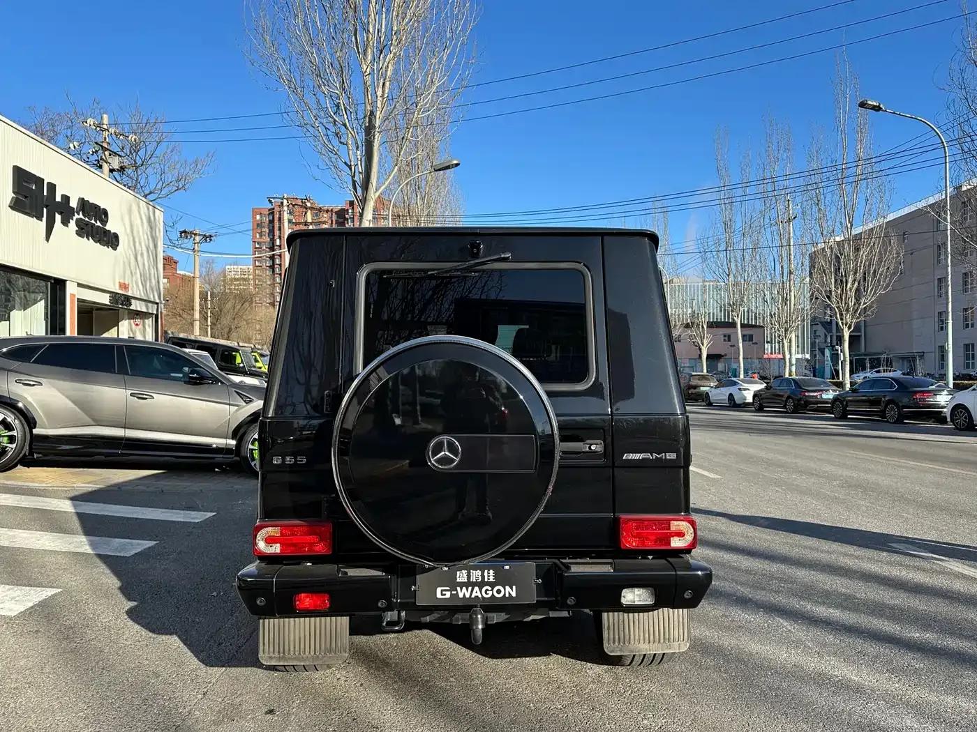 2009 Mercedes-Benz G-Class AMG 55 — миниатюра 5