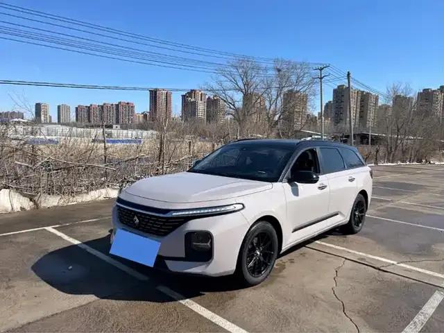 Baojun Valli 2021 1.5T Yili Ranch CVT Luxury Edition