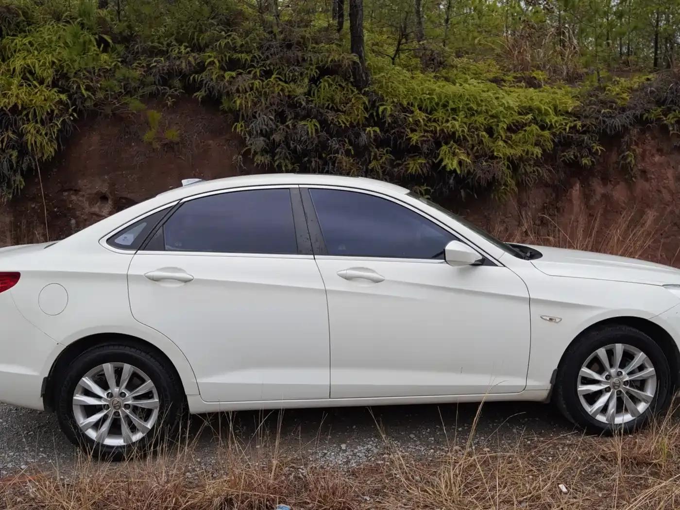 2014 Senova D50 1.5L Manual Comfort Edition — миниатюра 9