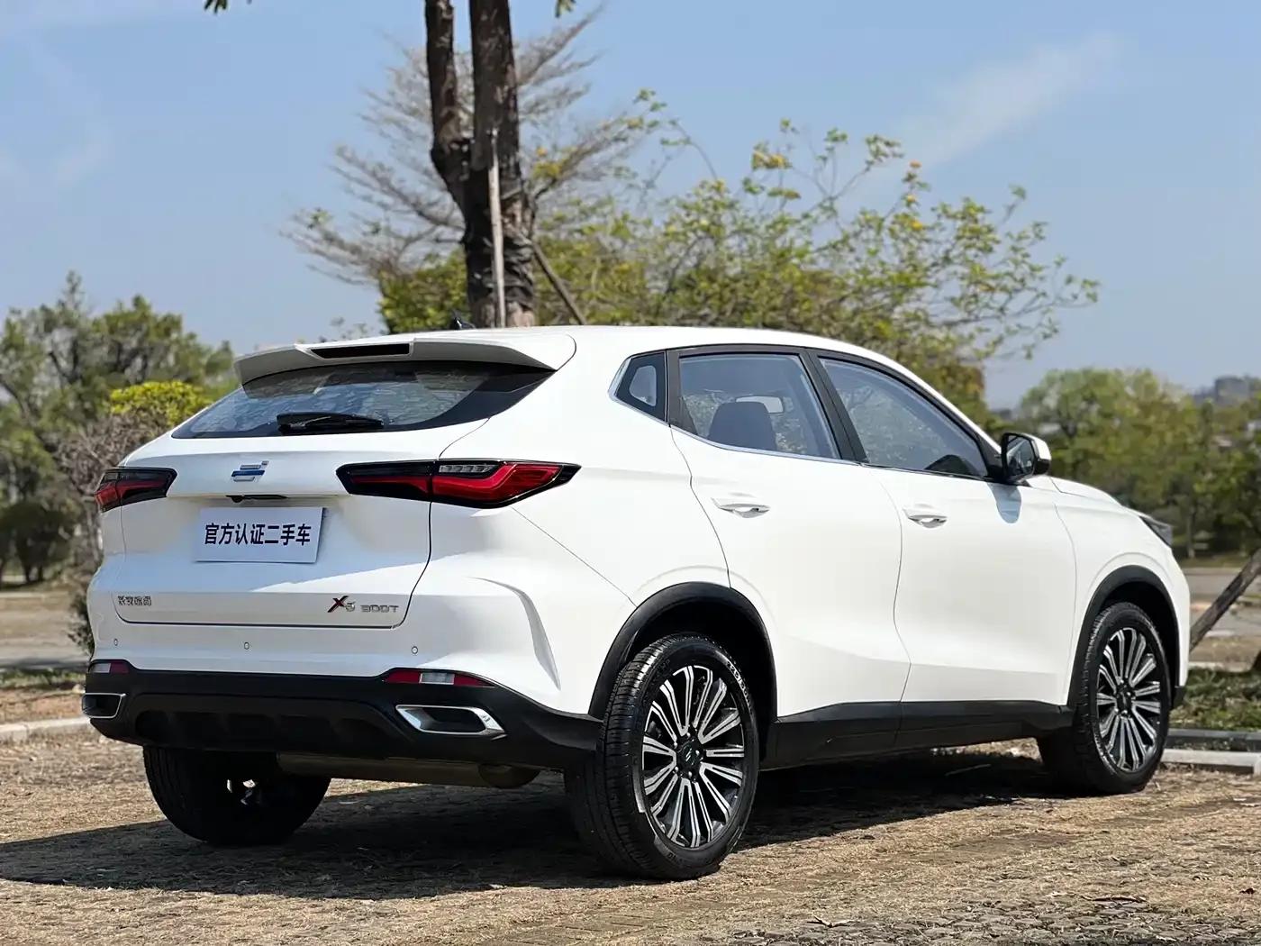Changan Oushang X5 2021 1.5T DCT Premium Edition — миниатюра 7