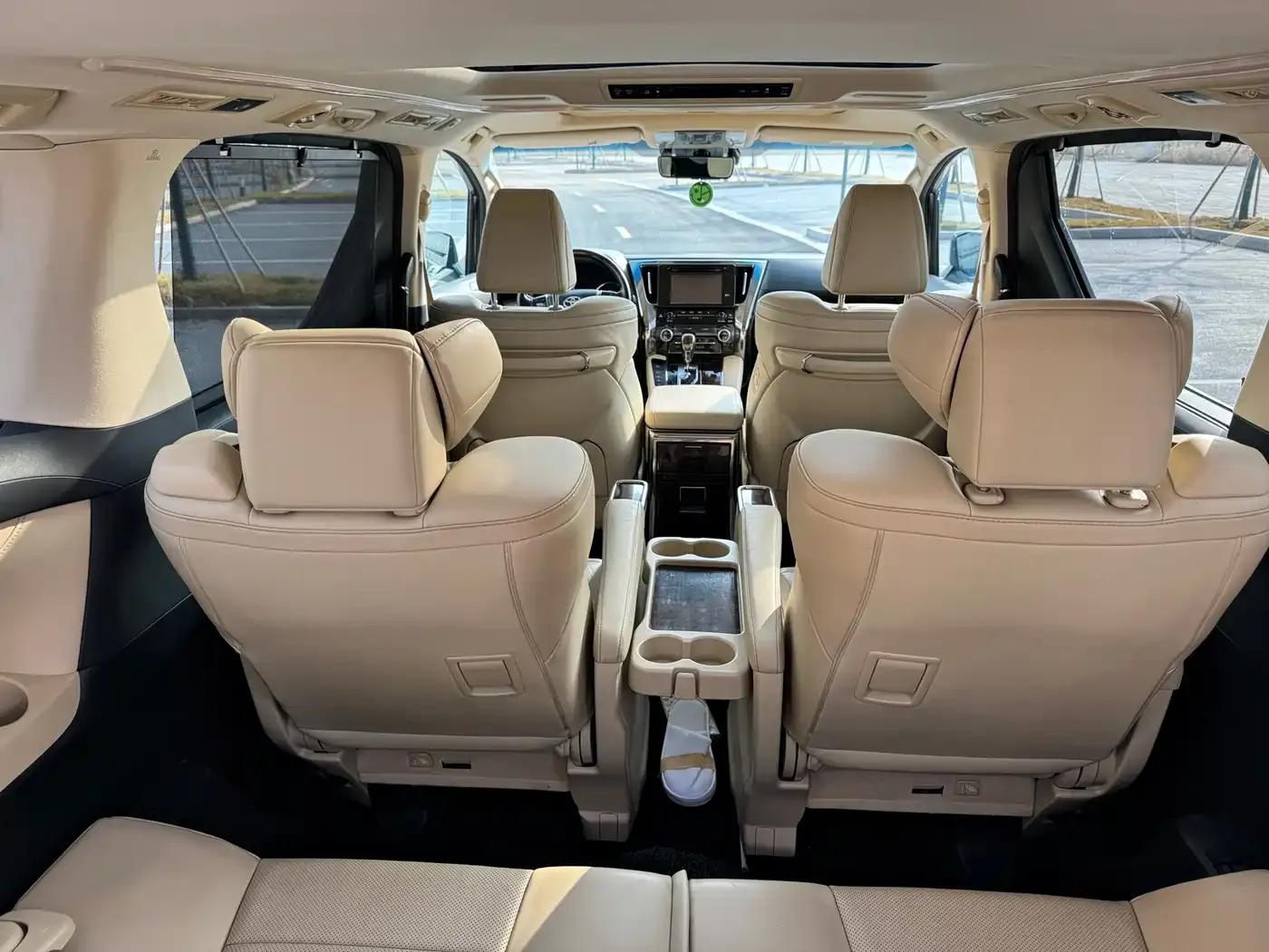 2019 Alphard Hybrid 2.5L Luxury Edition — миниатюра 13