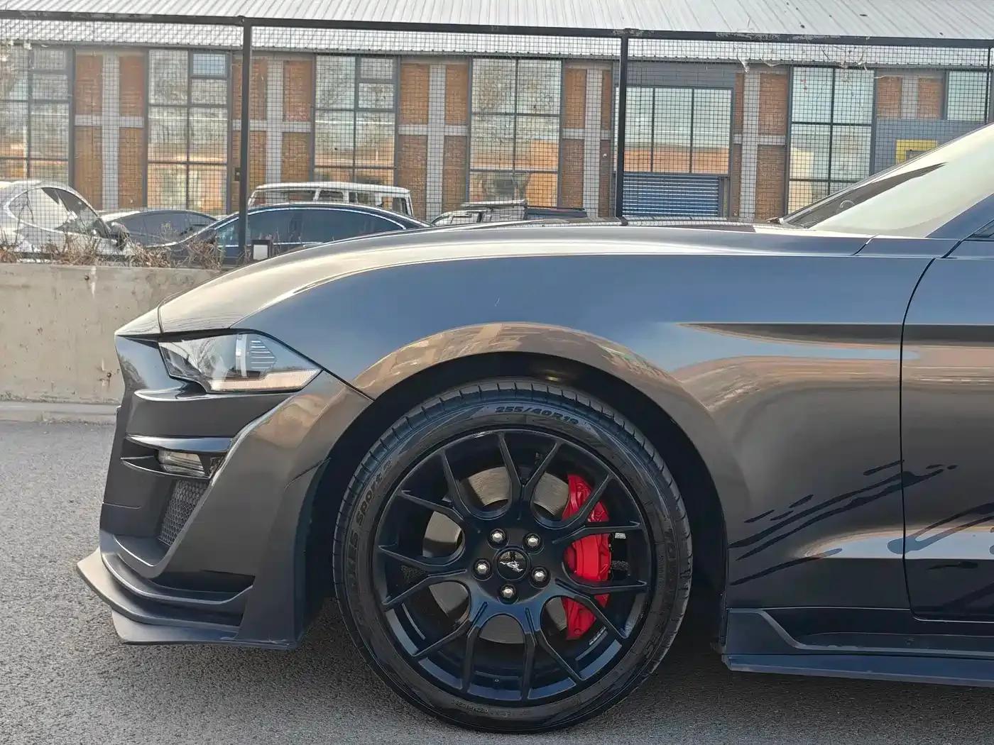 2019 Mustang 2.3L EcoBoost — миниатюра 4