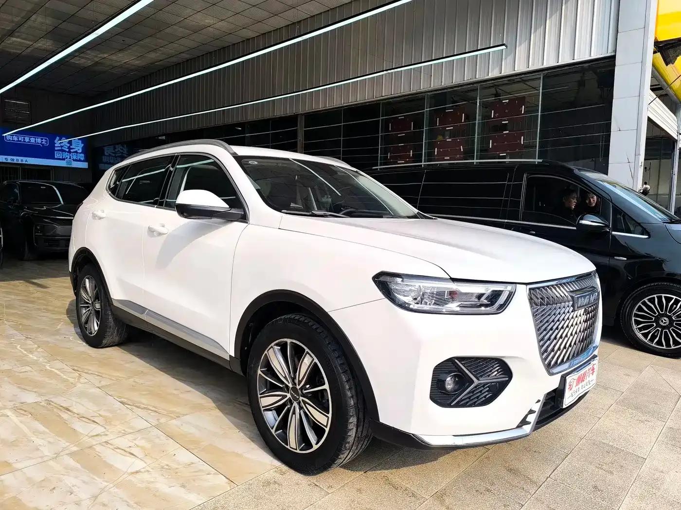 Haval H6 2021 2.0GDIT Automatic Champion Edition — миниатюра 3