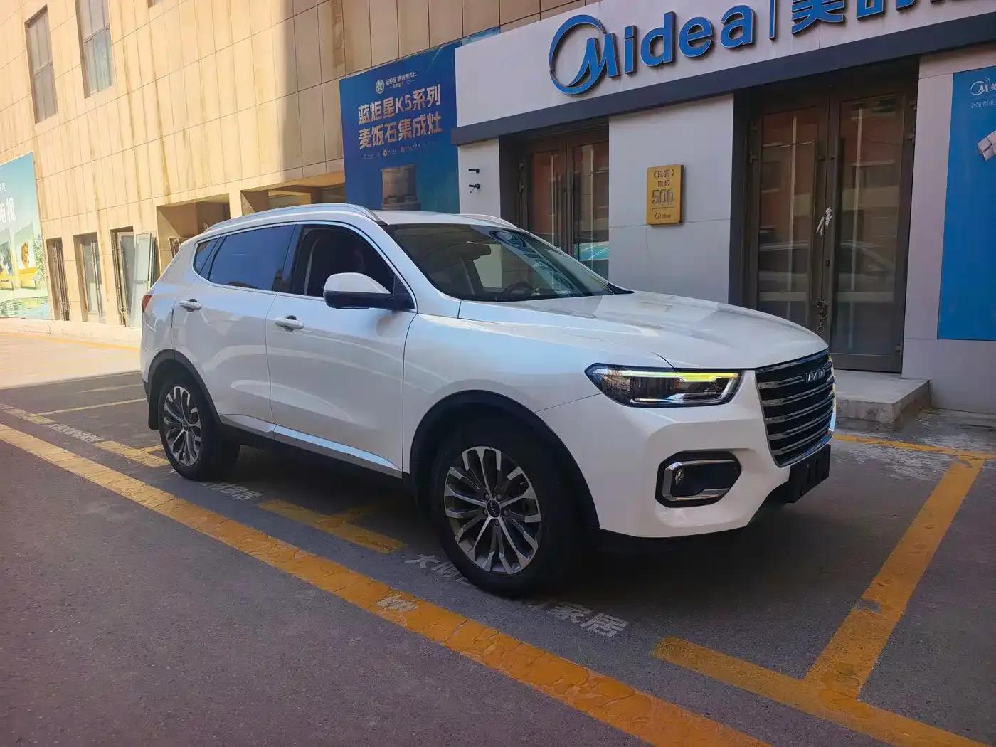 Haval H6 2020 2.0GDIT Automatic Platinum Champion Edition — миниатюра 3