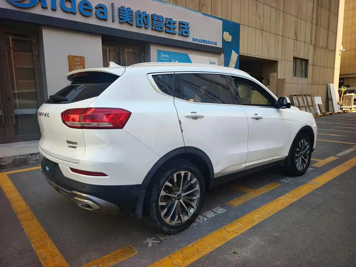 Haval H6 2020 2.0GDIT Automatic Platinum Champion Edition — миниатюра 8