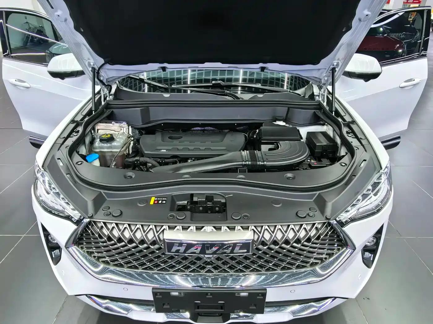 Haval F7x 2021 2.0T AWD Ultimate Performance Edition — миниатюра 9