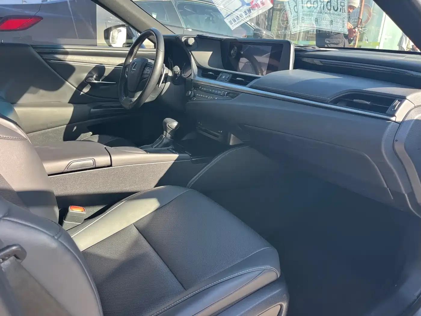 Lexus ES 2018 260 Premium Edition (China VI Emission Standard) — миниатюра 6