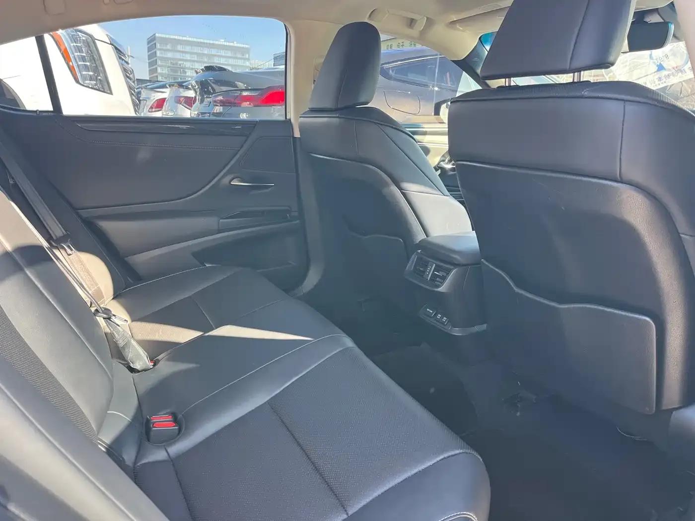 Lexus ES 2018 260 Premium Edition (China VI Emission Standard) — миниатюра 7