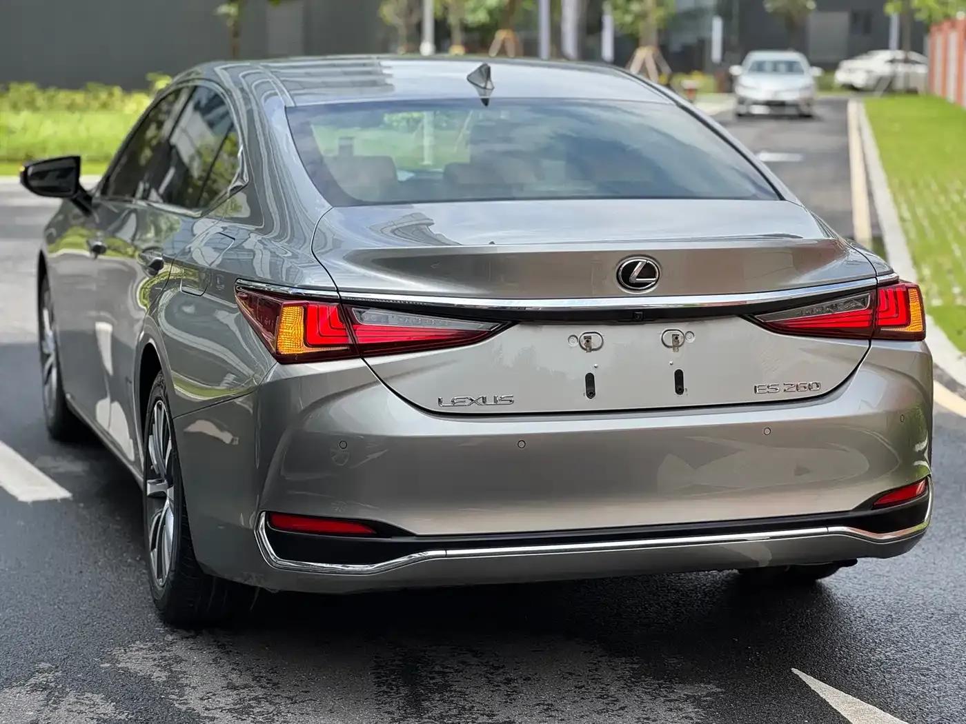 Lexus ES 2018 260 Premium Edition (China V Emission Standard) — миниатюра 8