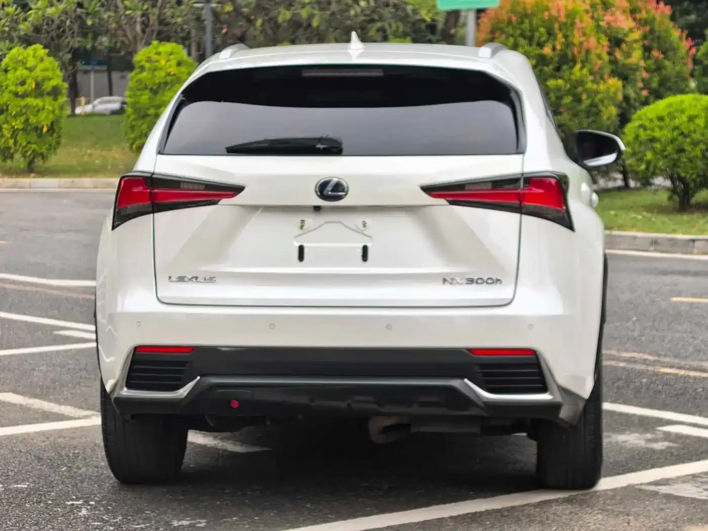 Lexus NX 2020 300h FWD Sport Edition (National V Emission Standard) — миниатюра 17