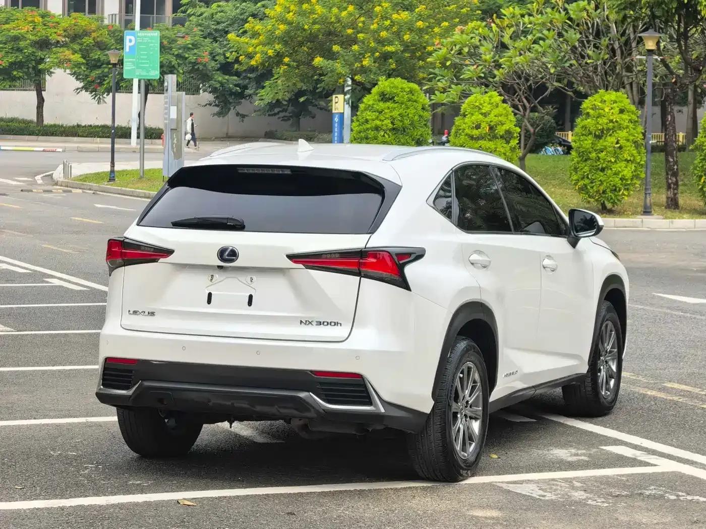 Lexus NX 2020 300h FWD Sport Edition (National V Emission Standard) — миниатюра 4