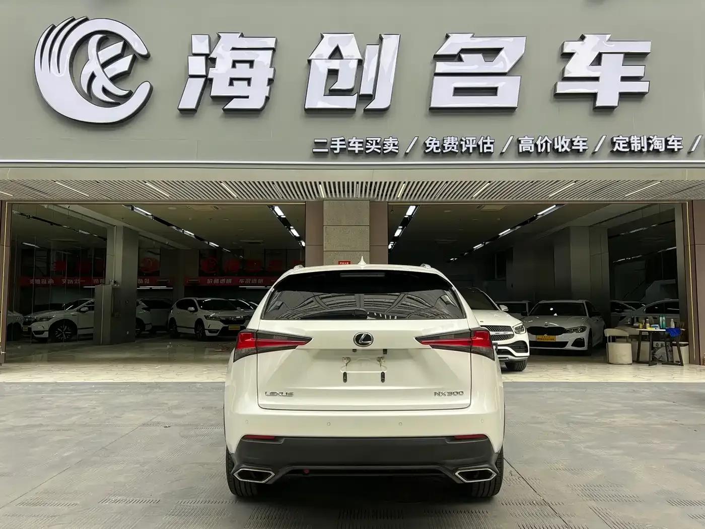 Lexus NX 2017 300 AWD Sport Edition — миниатюра 15