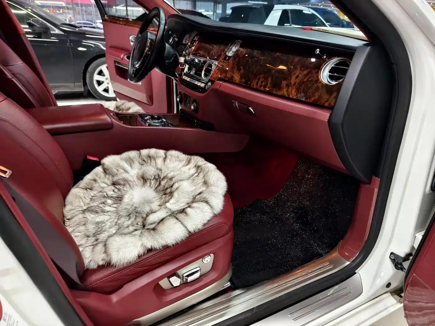 2010 Ghost 6.6T Standard Edition — миниатюра 12