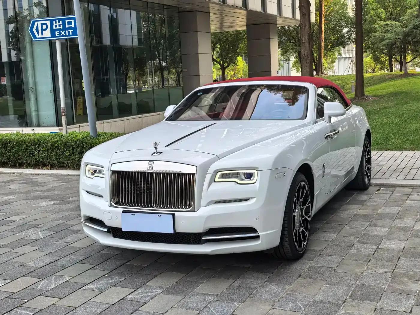 2018 Dawn 6.6T Standard Edition — миниатюра 1