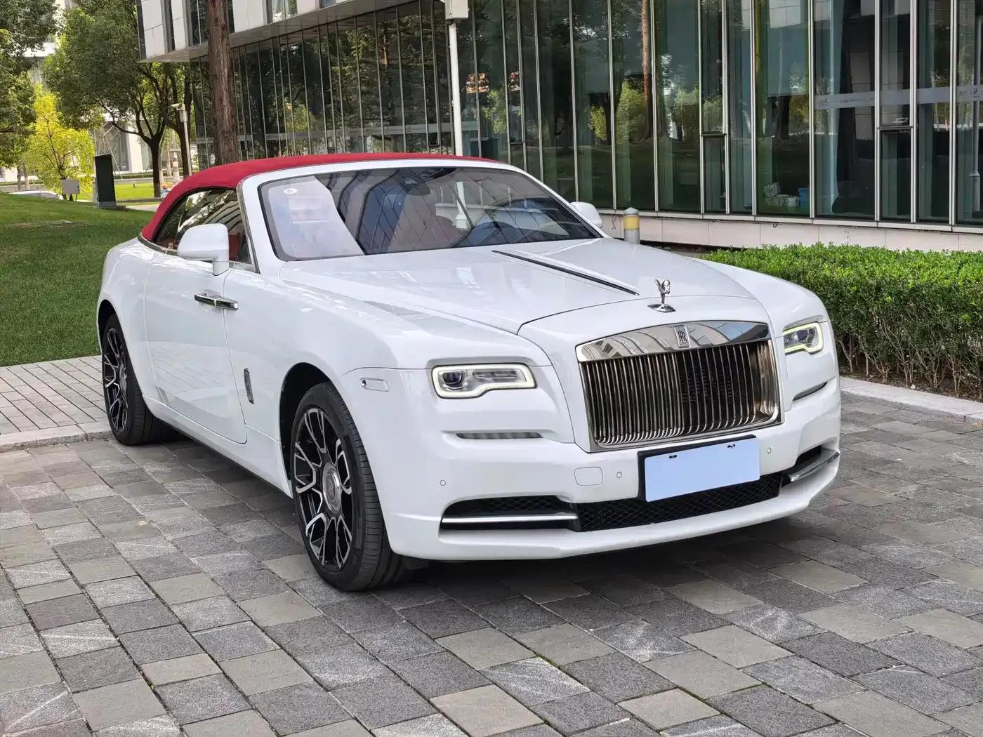 2018 Dawn 6.6T Standard Edition — миниатюра 3