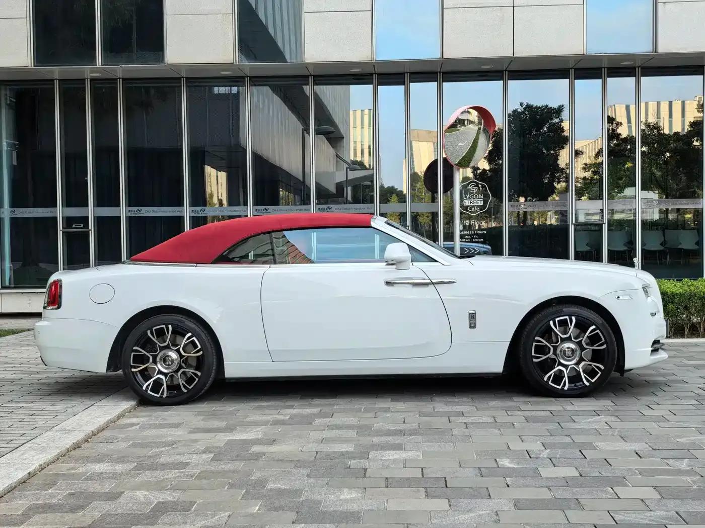 2018 Dawn 6.6T Standard Edition — миниатюра 6