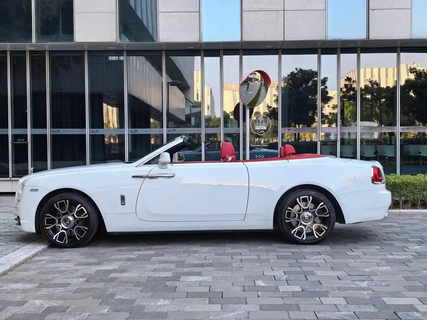 2018 Dawn 6.6T Standard Edition — миниатюра 7