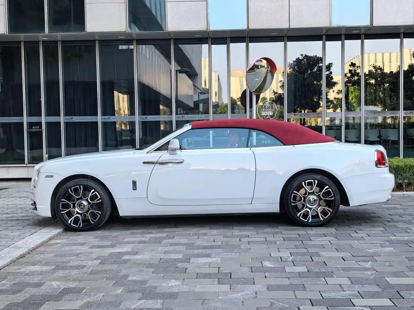 2018 Dawn 6.6T Standard Edition — миниатюра 8