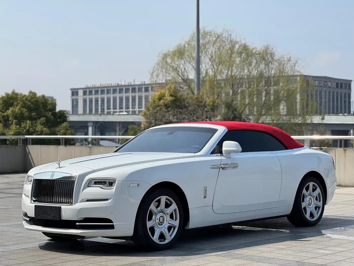 2015 Dawn 6.6T Standard Edition — миниатюра 1