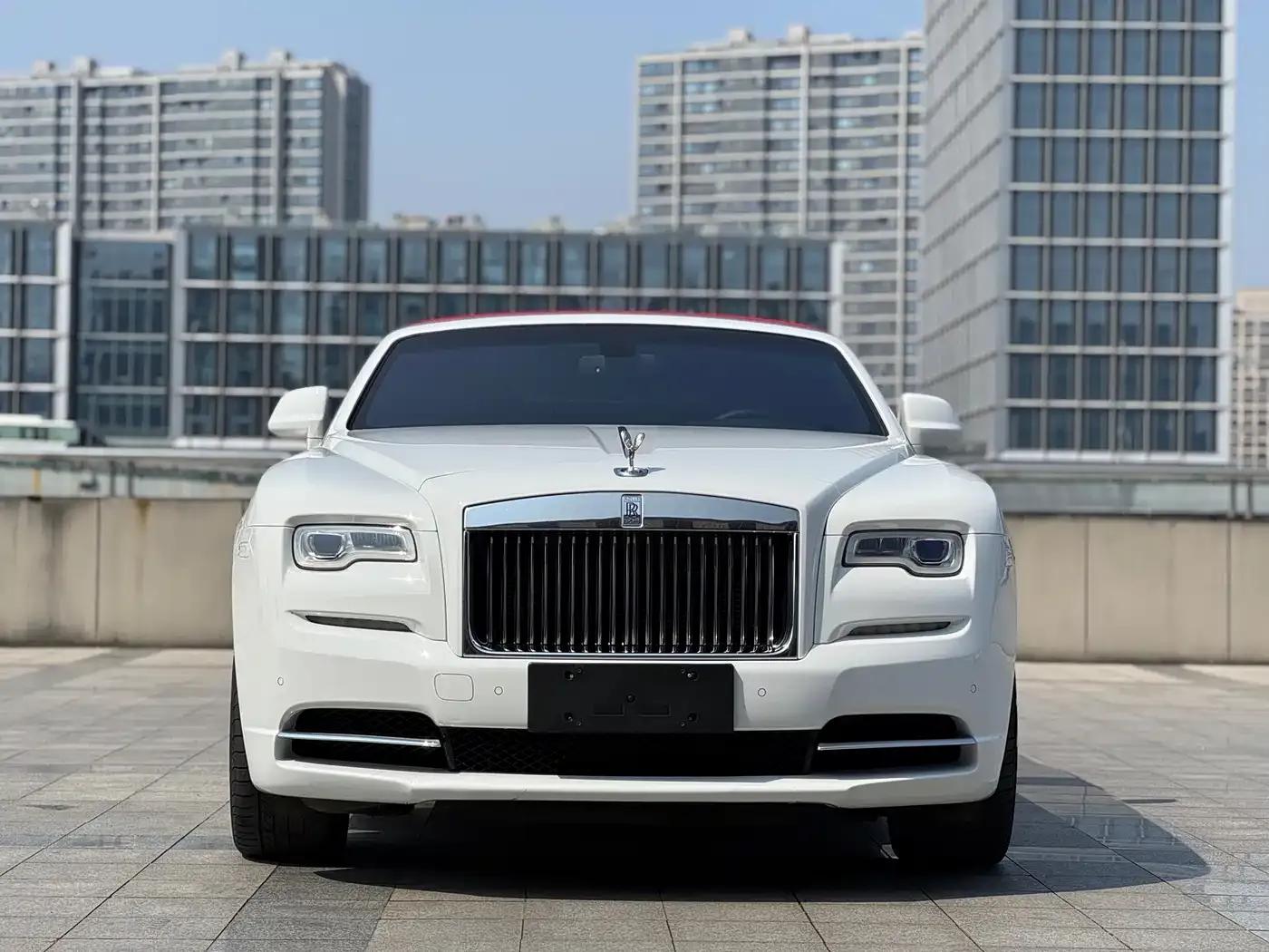 2015 Dawn 6.6T Standard Edition — миниатюра 2