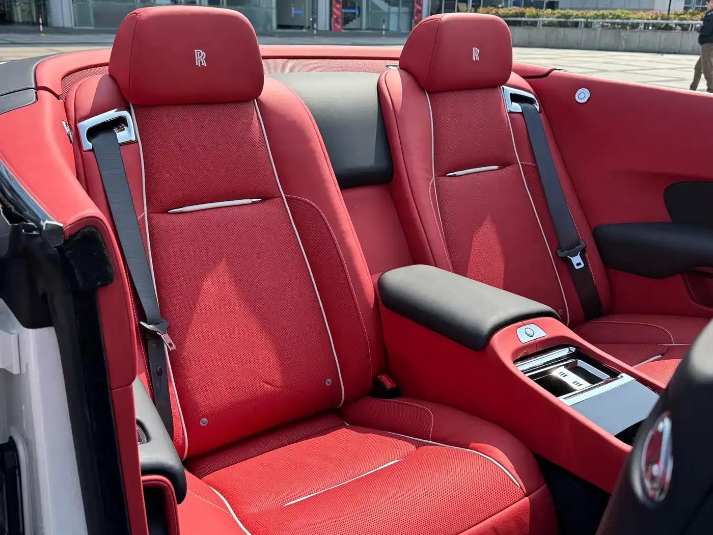 2015 Dawn 6.6T Standard Edition — миниатюра 15