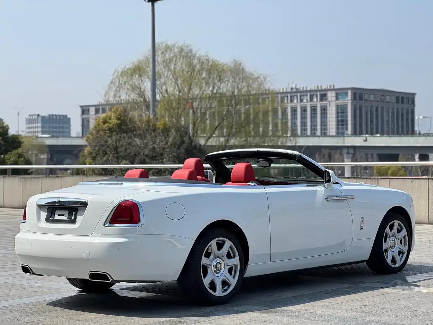 2015 Dawn 6.6T Standard Edition — миниатюра 19