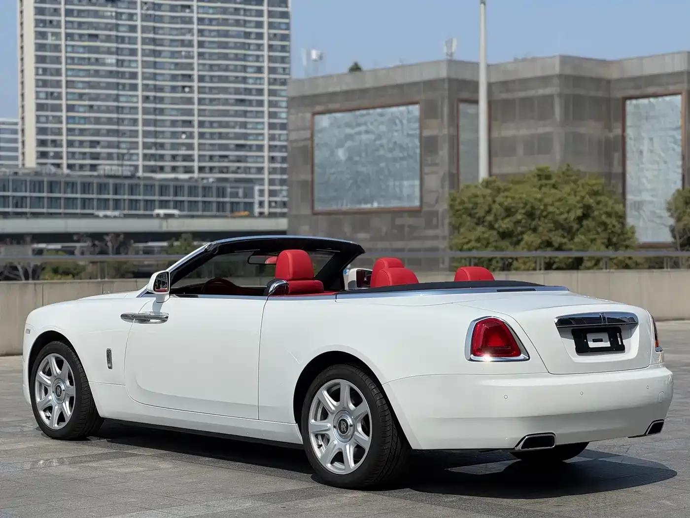 2015 Dawn 6.6T Standard Edition — миниатюра 20