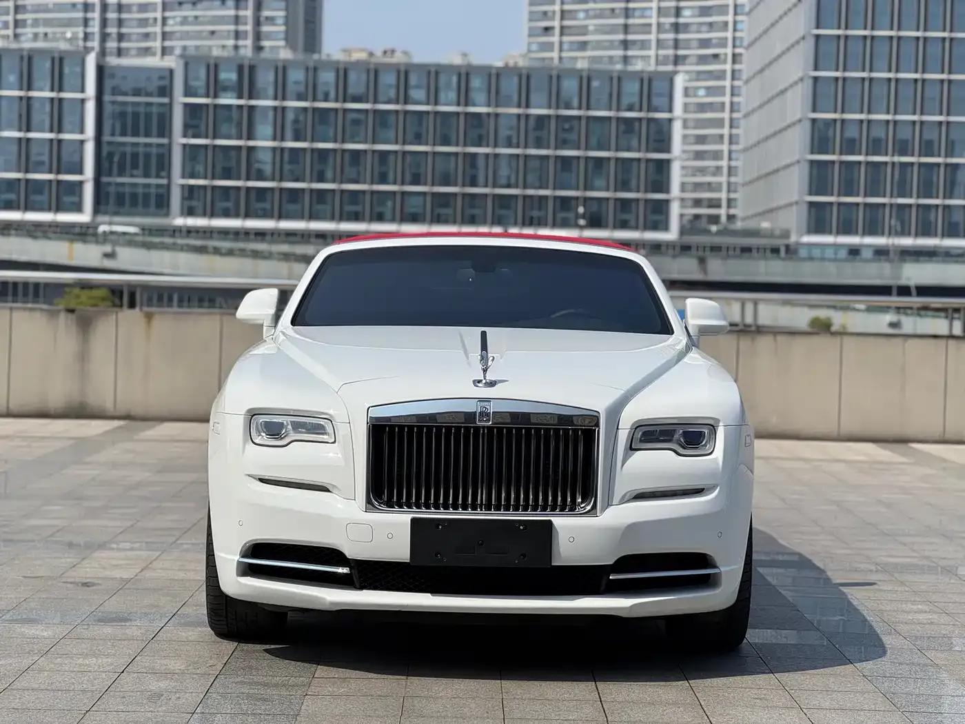2015 Dawn 6.6T Standard Edition — миниатюра 22
