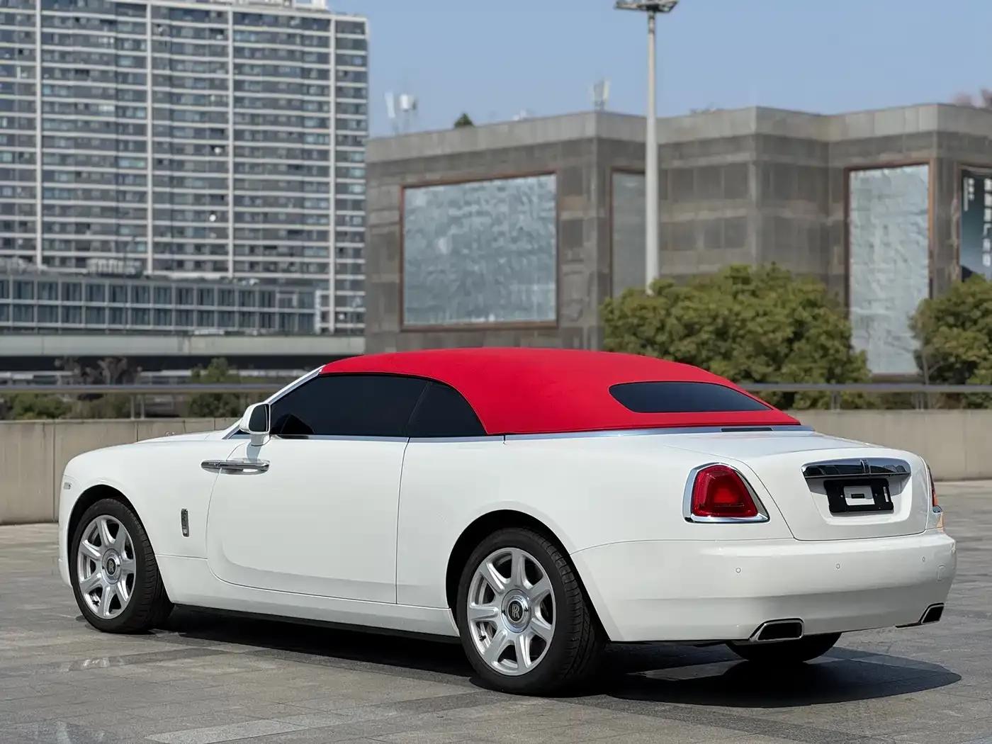 2015 Dawn 6.6T Standard Edition — миниатюра 4